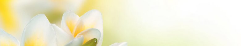 DŁUGI WEEKEND CZERWCOWY 2025 W EVICIE !!!