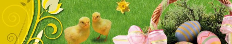 WIELKANOC 2025 W OŚRODKU WYPOCZYNKOWYM EVITA